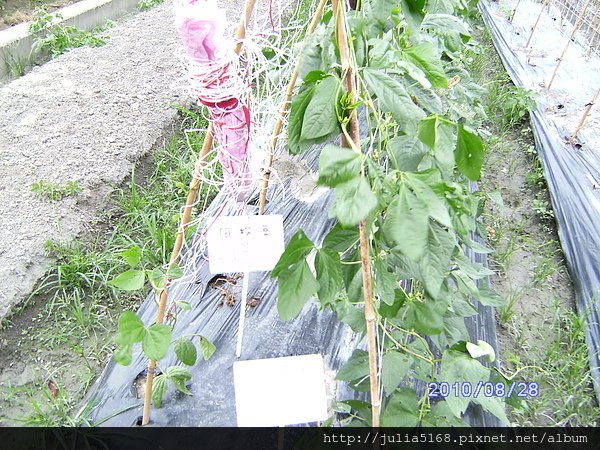 PICT1099.JPG