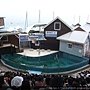 DSCF0318.JPG