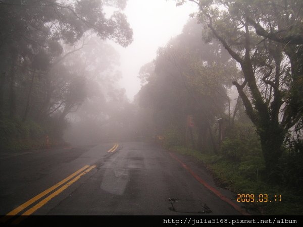 98.03.11陽明山的路充滿山嵐.JPG