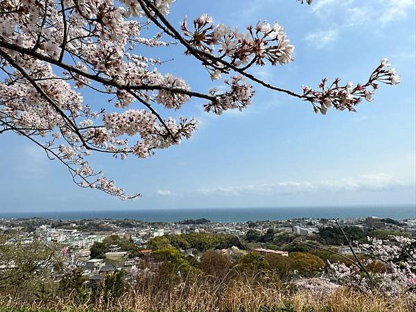 Day4-1 茨城賞櫻~神峰公園之小小遊樂園，やまがた屋飯糰