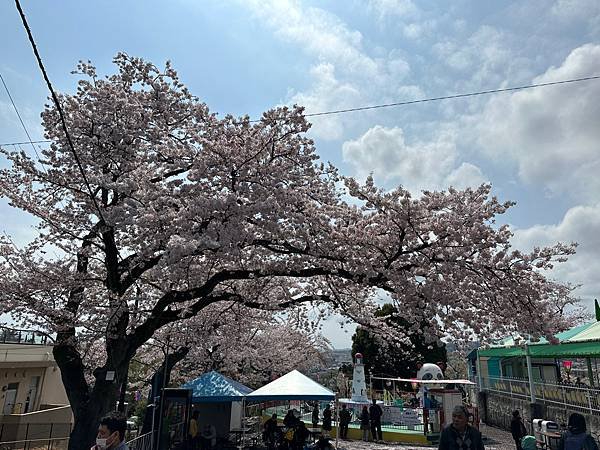 Day4-1 茨城賞櫻~神峰公園之小小遊樂園，やまがた屋飯糰