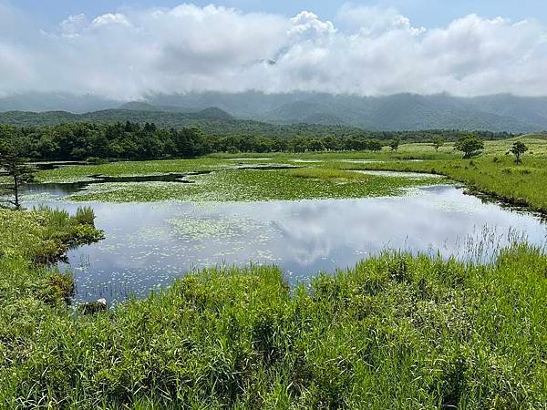 Day6 知床五湖遊步道長高架木棧道，可惜無法遊覽整個五湖，