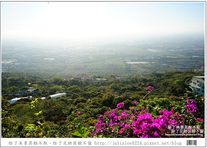 雷達土雞城 (1).jpg