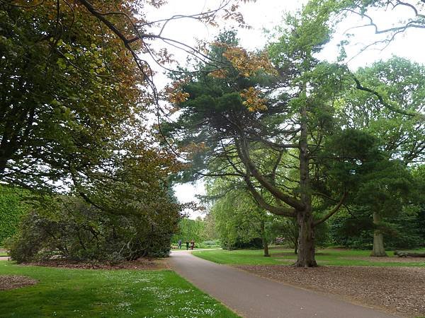 [英國]愛丁堡(Edinburgh)-皇家植物園(Royal