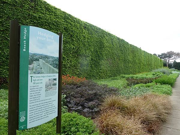 [英國]愛丁堡(Edinburgh)-皇家植物園(Royal