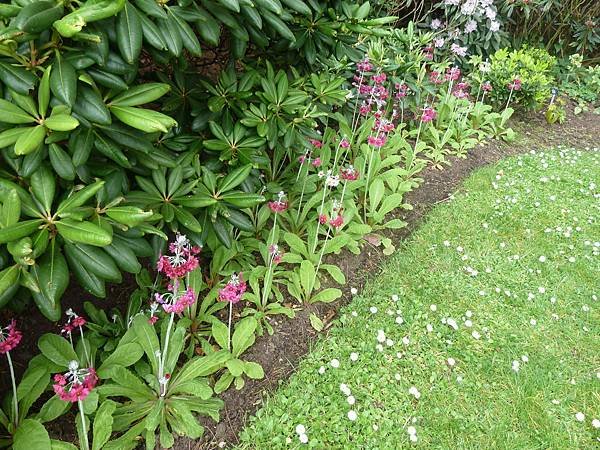 [英國]愛丁堡(Edinburgh)-皇家植物園(Royal