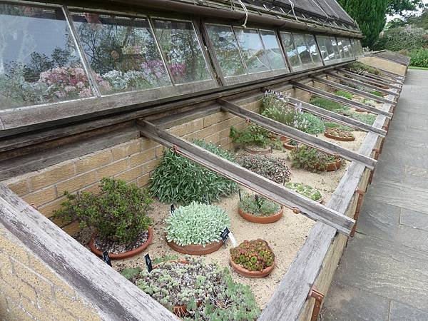 [英國]愛丁堡(Edinburgh)-皇家植物園(Royal