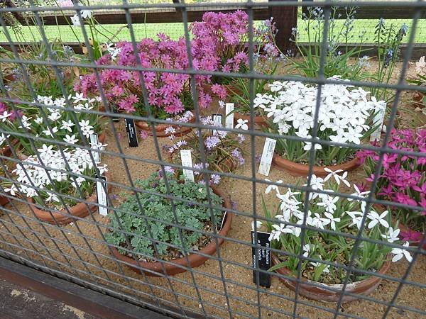 [英國]愛丁堡(Edinburgh)-皇家植物園(Royal
