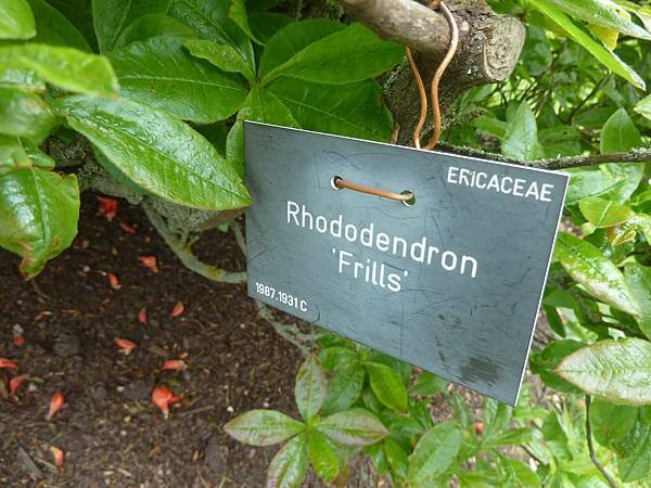 [英國]愛丁堡(Edinburgh)-皇家植物園(Royal