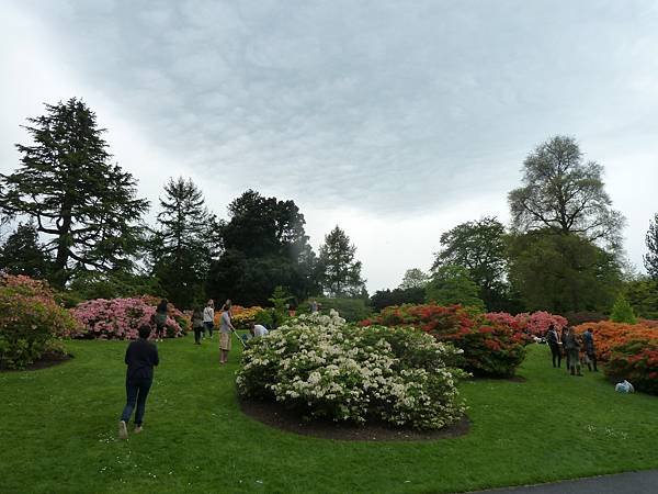 [英國]愛丁堡(Edinburgh)-皇家植物園(Royal