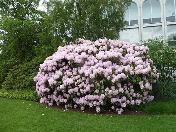 [英國]愛丁堡(Edinburgh)-皇家植物園(Royal