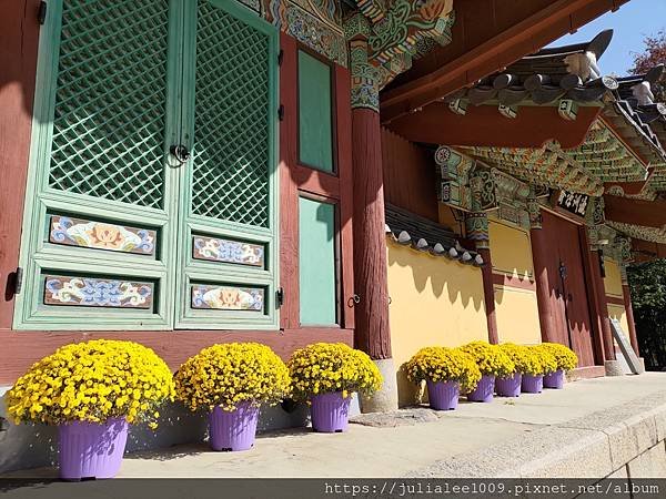 [韓國]大邱、釜山賞楓景點-八公山、桐華寺、聖堂池、頭流公園