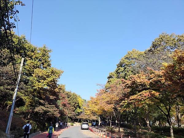 [韓國]大邱、釜山賞楓景點-八公山、桐華寺、聖堂池、頭流公園