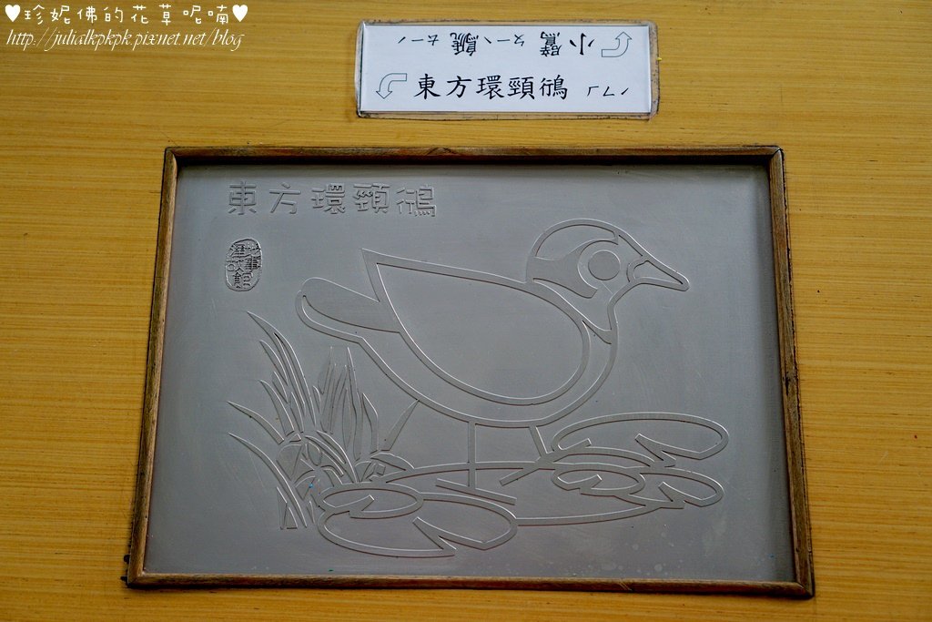 DSC02771.jpg