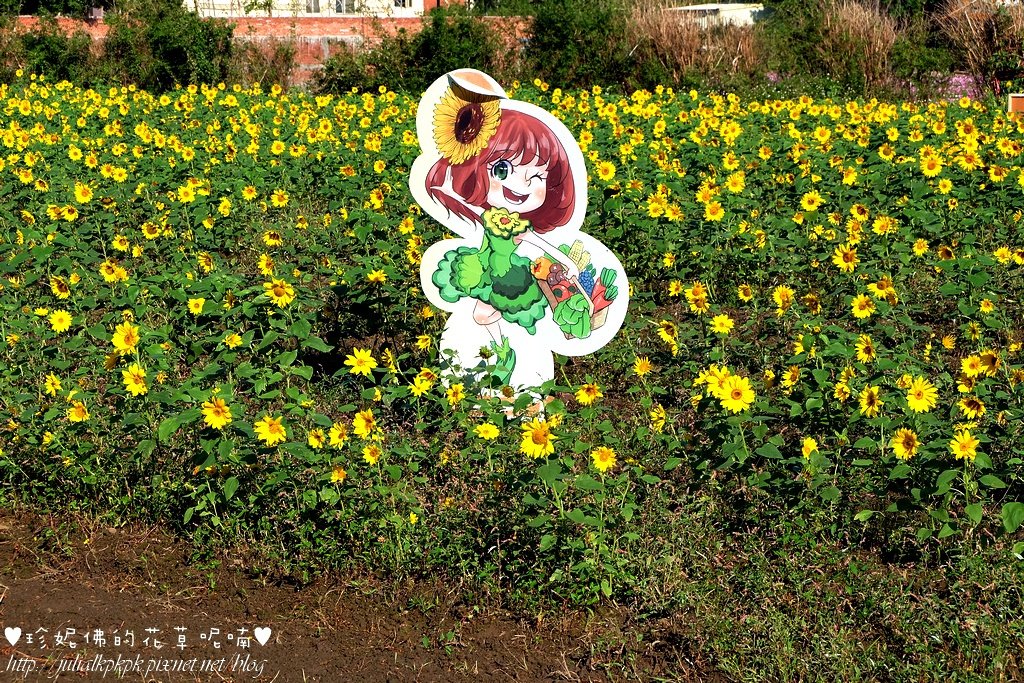 DSCF7190.jpg