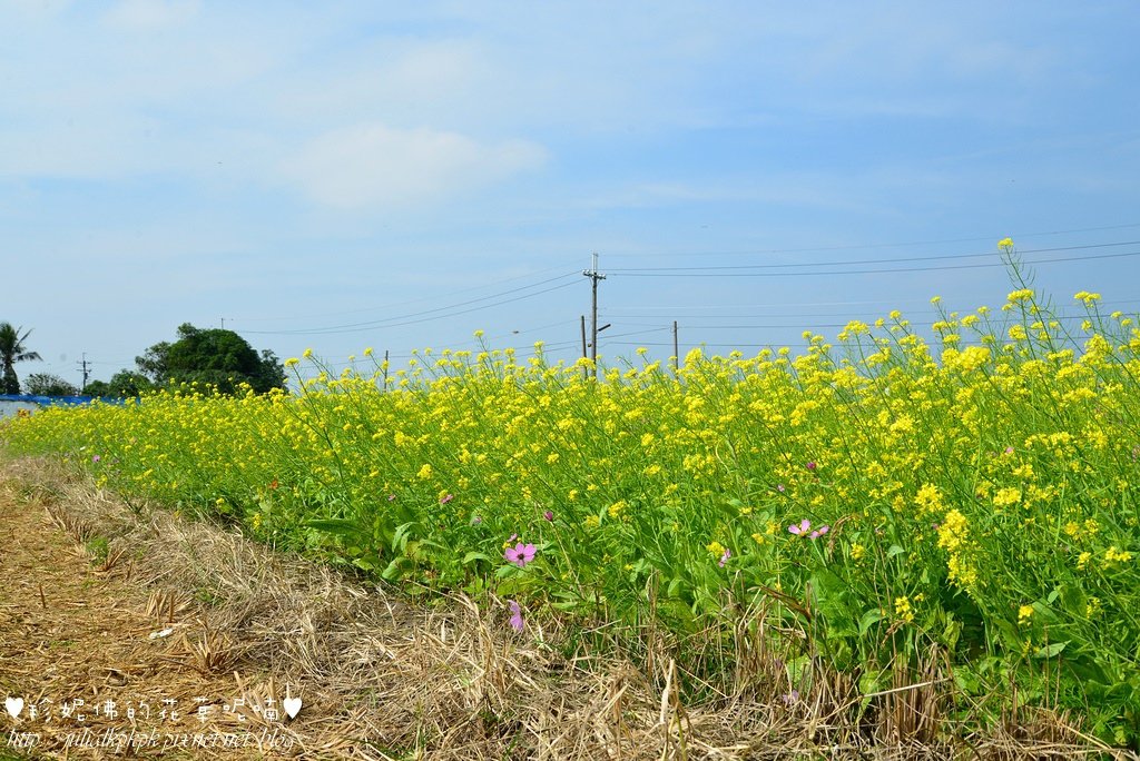 DSC_3328.jpg