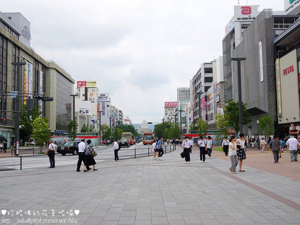 DSC06051.JPG