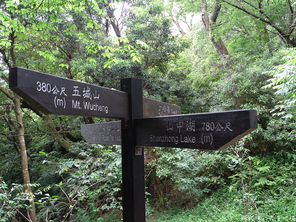 140.jpg