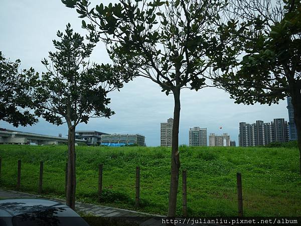 P1070932.JPG