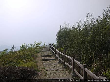P1590397.JPG