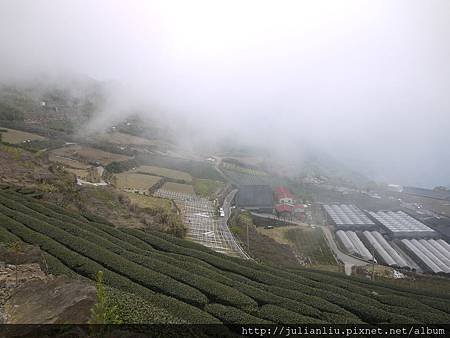 P1590407.JPG