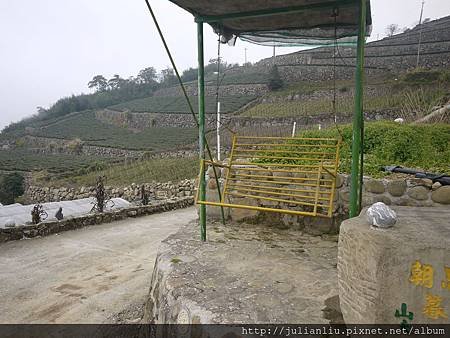 P1590424.JPG