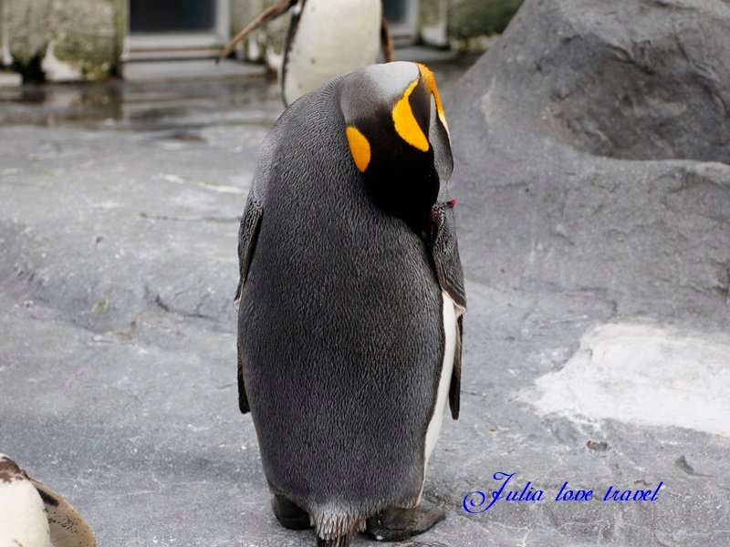 _MG_3484.JPG