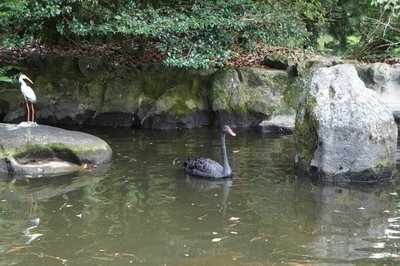 DSC00102_resize.JPG