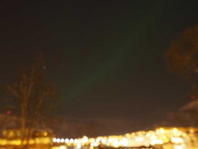 P1279650.JPG