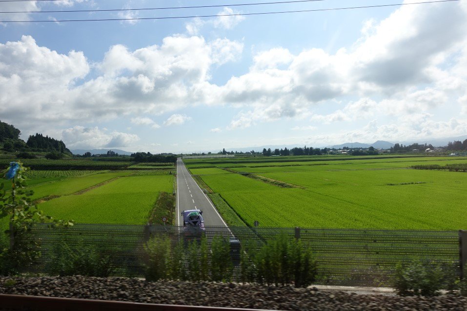 DSC05321.JPG