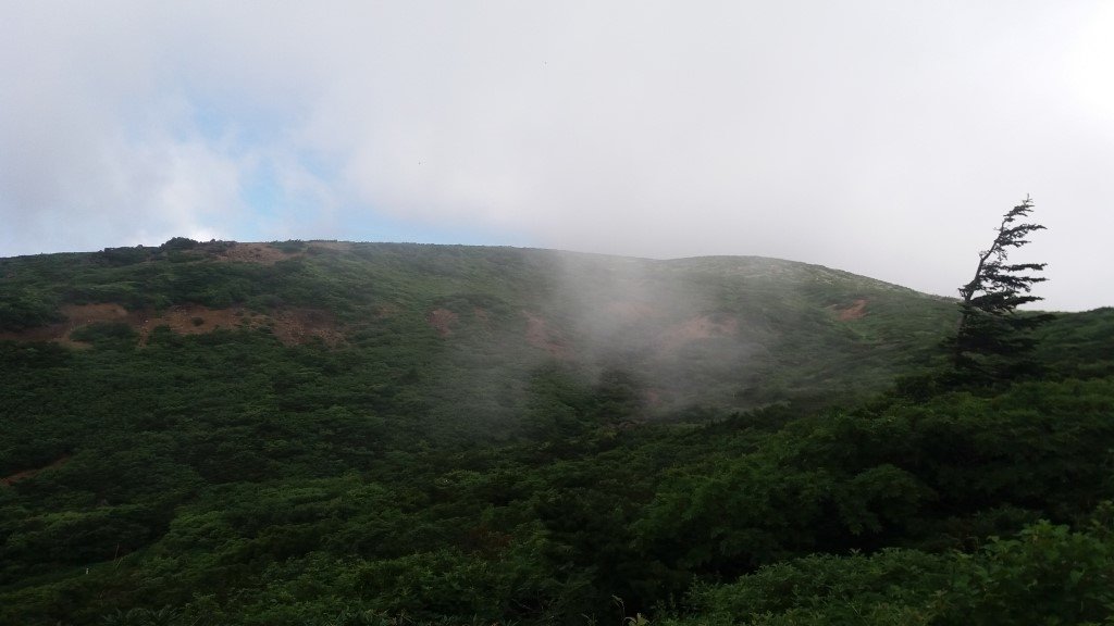 20170726_102548.jpg