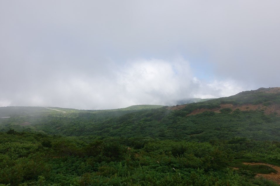 DSC05336.JPG