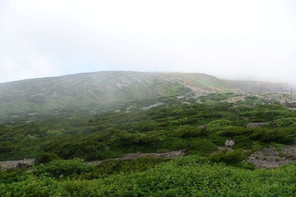 DSC05343.JPG