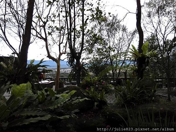 IMG_20160128_170547.jpg