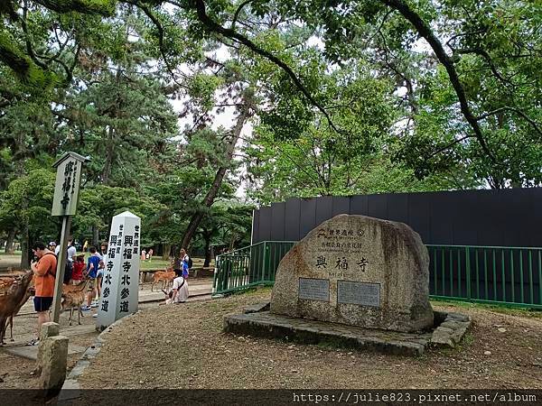 大阪五日自由行 Day4 ~  奈良(奈良公園-興福寺-博物