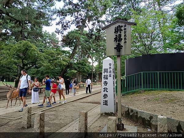 大阪五日自由行 Day4 ~  奈良(奈良公園-興福寺-博物