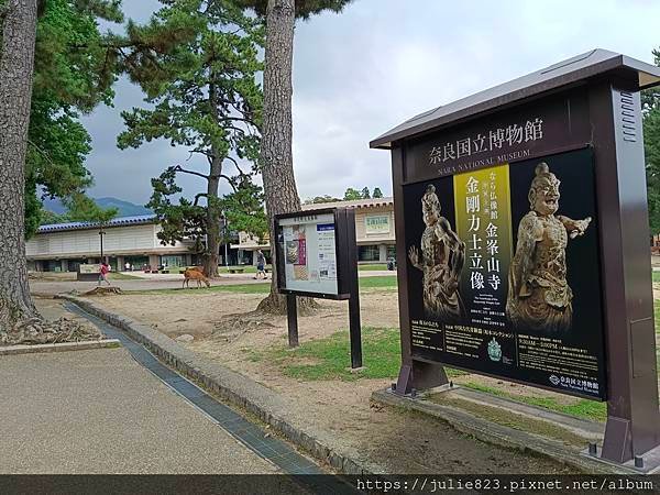 大阪五日自由行 Day4 ~  奈良(奈良公園-興福寺-博物