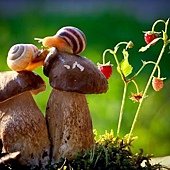 534350_91baf3cc4ed4c704ab299e6761ddf632_large