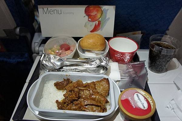 4.5 plane dinnerb.jpg