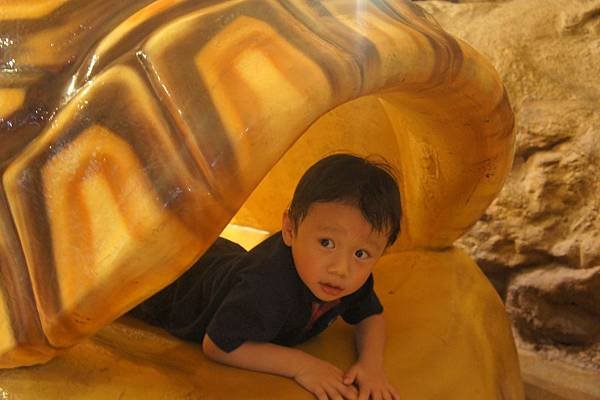 8.19 Everland 14b.jpg