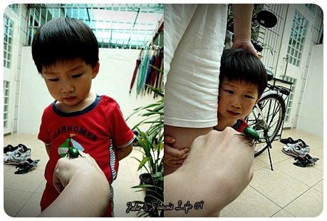 20090610-054650.jpg
