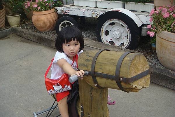 201105 096.jpg