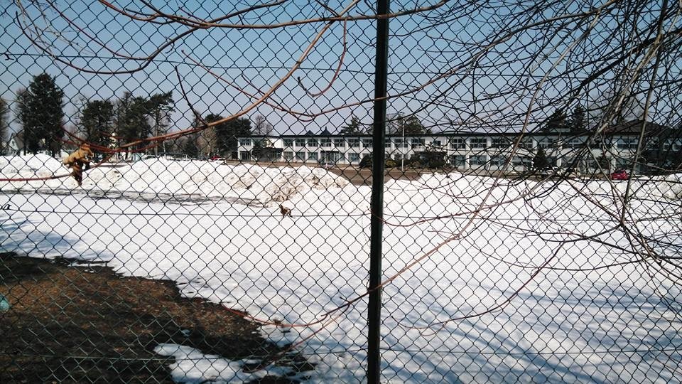 06.jpg