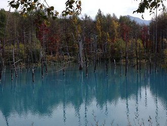 IMG_6985.JPG