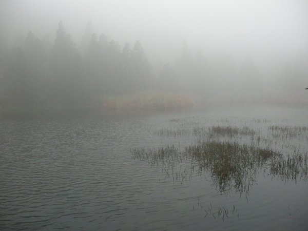 冷水坑.夢幻湖.竹蒿山.擎天崗 090.JPG