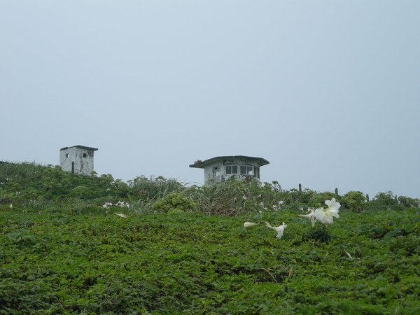 金山.獅頭山 081.JPG