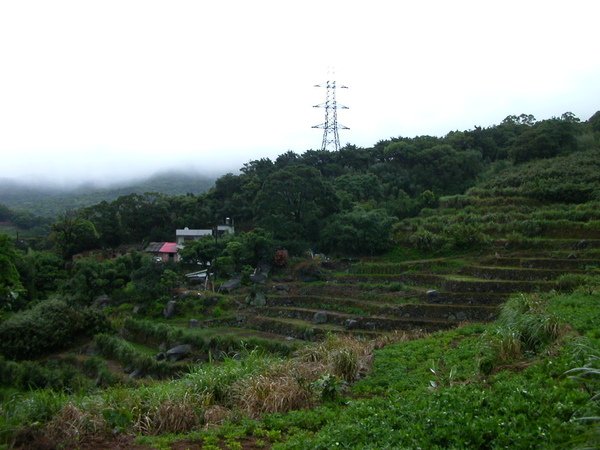 二坪頂冷泉 081.JPG