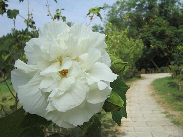 IMG_1351.JPG