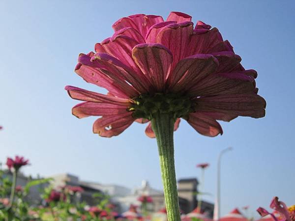 IMG_1968.JPG