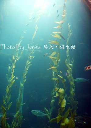 P1060102.jpg